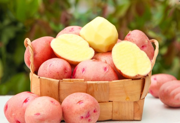 云南高原红皮土豆   沙面细腻，香甜软糯