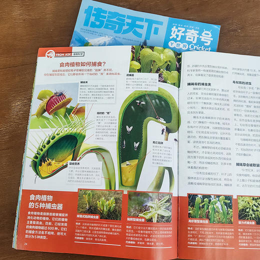 《好奇号》2024年1月起订，共36册｜科学·技术·自然·历史·文化，给孩子一整年的全通识启蒙 商品图6