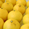 【瑶乡甄选】柠檬蜜橘 遵循自然 树上熟 自带柠檬香 脆甜无酸 口感惊艳 商品缩略图1
