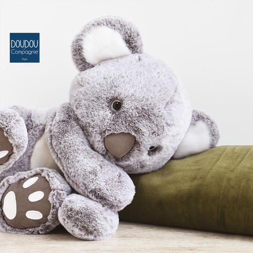 DOUDOU 考拉-35cmDOUCHO2970玩偶 商品图1