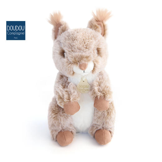 DOUDOU 松鼠-25cmDOUCHO2953玩偶 商品图4