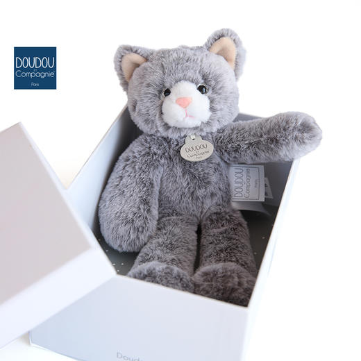 DOUDOU 小猫-25cmDOUCHO3008玩偶 商品图4