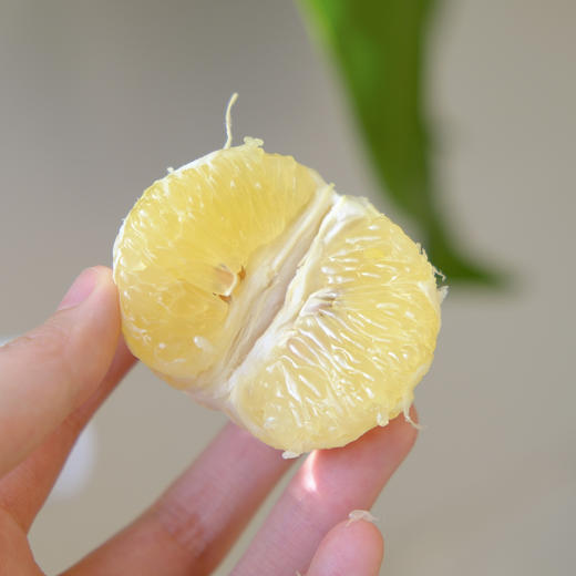 【瑶乡甄选】柠檬蜜橘 遵循自然 树上熟 自带柠檬香 脆甜无酸 口感惊艳 商品图6