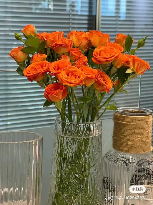 多头橙色芭比 5支一份 商品图2