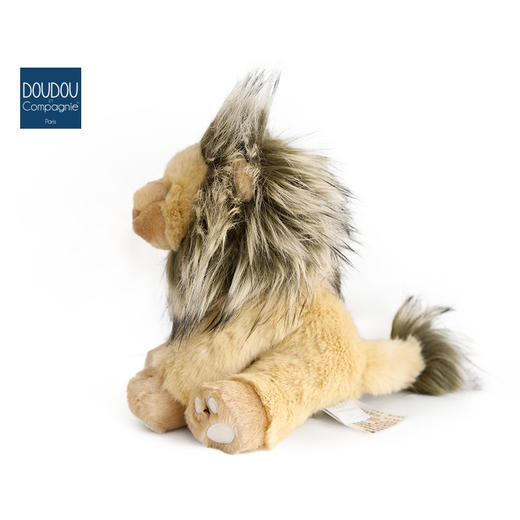 DOUDOU 狮子-25cmDOUCHO3051玩偶 商品图4
