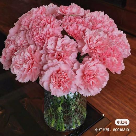 康乃馨10支 商品图0