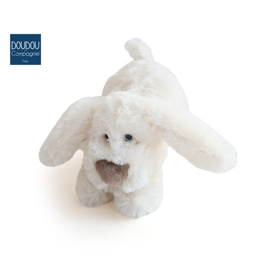 DOUDOU 曲奇狗-25cmDOUCHO2319玩偶 商品图4