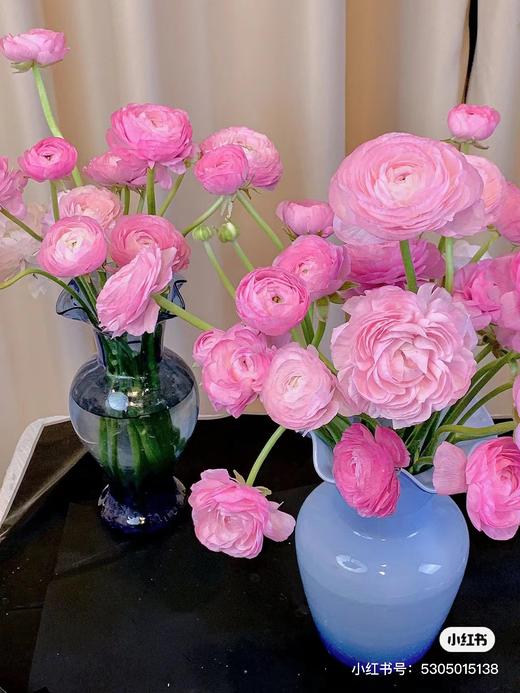 洋牡丹5支 商品图0