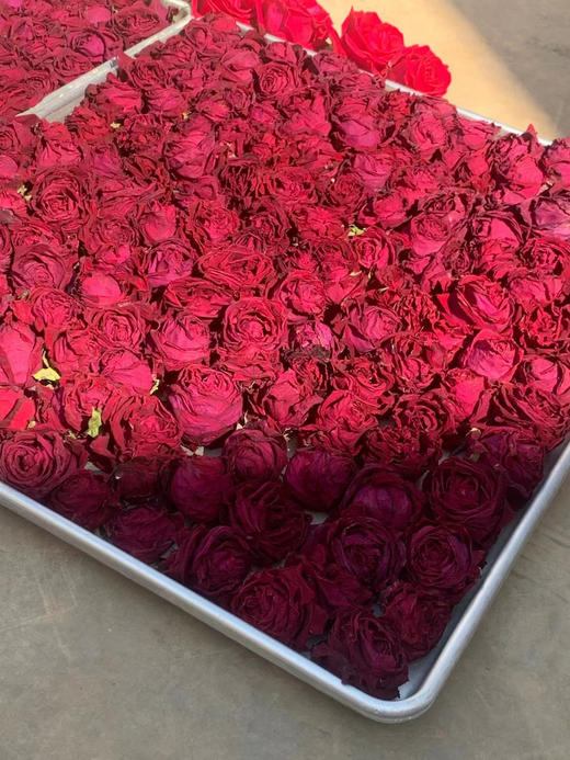 ² 清仓【冻干墨红玫瑰花】唇齿留玫瑰香 可以和其它茶叠泡 HM02-CRMM-BP 商品图7