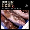 大连野生活冻海鲶鱼，20-25条/箱，（5-6条/斤，约4斤），东北三省包邮，其他地区联系客服补运费 商品缩略图7