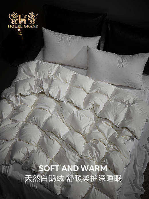 五星可水洗鹅绒四季被 商品图3