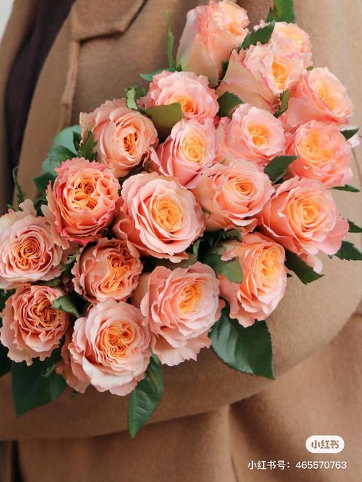 微光仙子玫瑰10支 商品图1