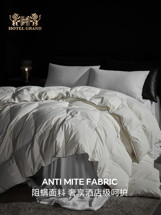 五星可水洗鹅绒四季被 商品图1