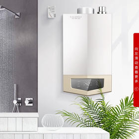 史密斯/燃气热水器/JSQ40-mjsx/ 20升智能零冷水燃气热水器 不锈钢换热器 大升位 家用 大户型优选