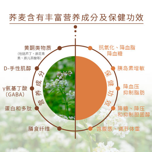 【精致荞麦米】源于荞麦之乡-内蒙库伦 低升糖 高膳食纤维 颗粒饱满 商品图1