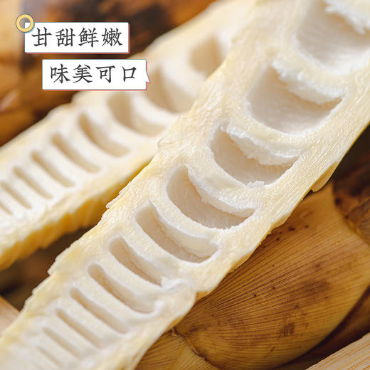 临安天目山  春笋  多规格任选 商品图2