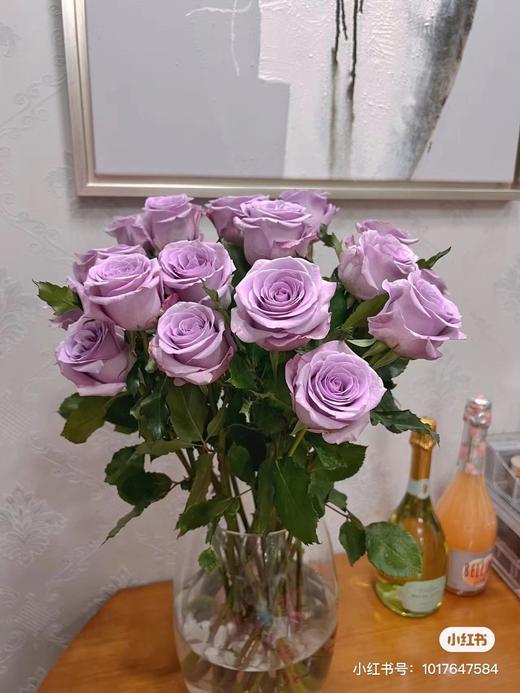 一生必养的一次海洋之歌10支 商品图0