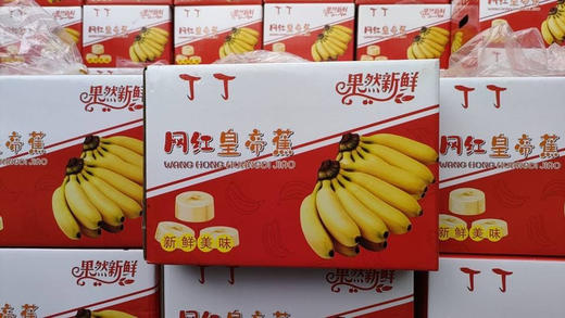 周六送，海南皇帝蕉，香蕉中的贵族 ，“蕉”香四溢，个头娇小却果肉饱满，营养价值更是一等一的高。小小的身体内蕴含着饱满的果肉，特有的软糯口感，皮薄如纸，让人无法抗拒，一箱5斤左右 商品图4