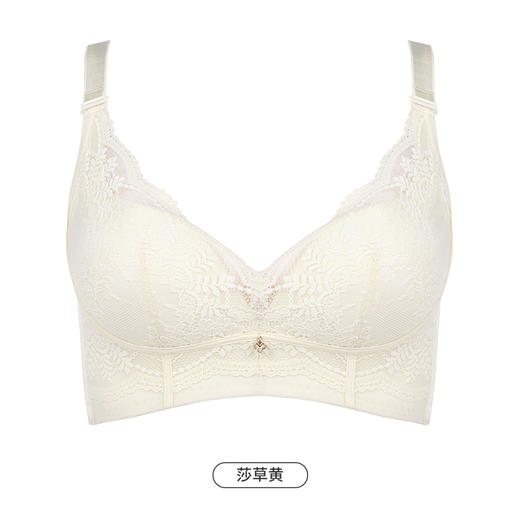 都市丽人舒软挺塑轻塑调整型内衣女蕾丝塑身AB杯3/4杯加厚文胸无钢圈四排扣LJ44C1 商品图9