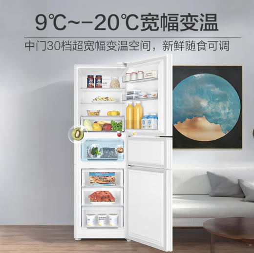 海尔（Haier）冰箱 BCD-255WLHC35EWVU1 商品图7