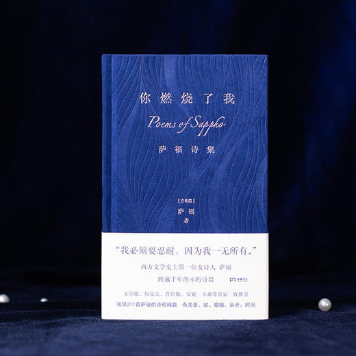 你燃烧了我 萨福 著 诗歌 商品图3
