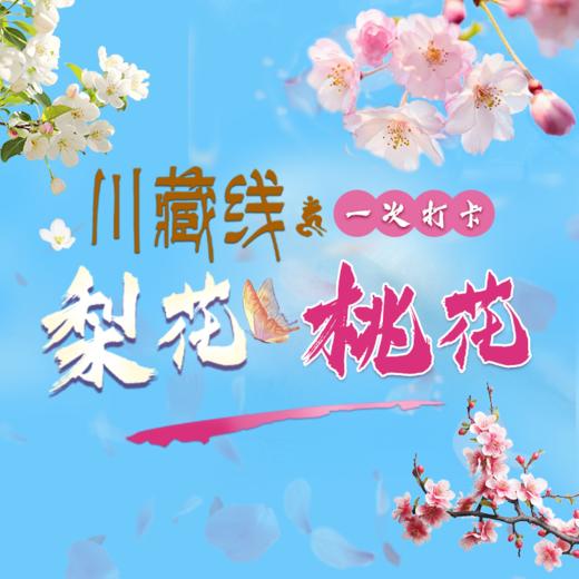 川藏梨花桃花——穿越格聂南线+金川梨花+林芝桃花+墨脱+雅鲁藏布大峡谷十三日线 商品图0