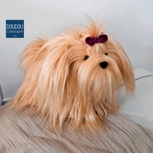 DOUDOU 约克夏-25cmDOUCHO3154玩偶 商品图1