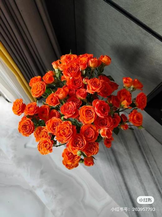 多头橙色芭比 5支一份 商品图3