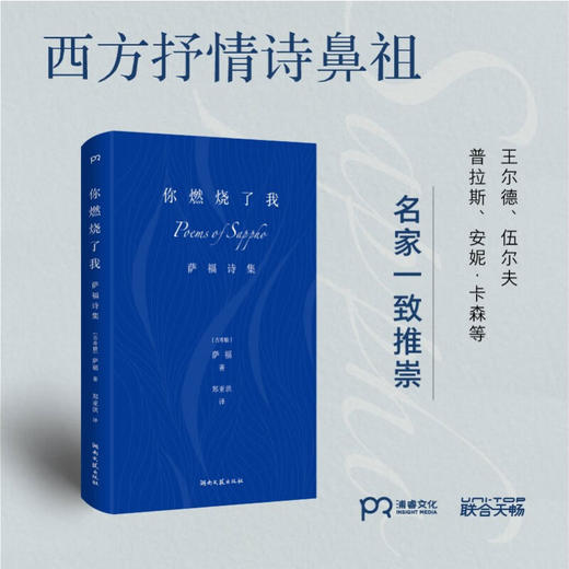 你燃烧了我 萨福 著 诗歌 商品图1