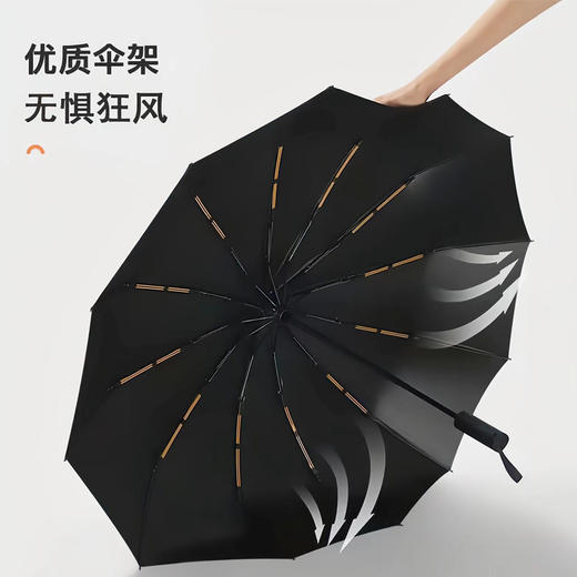 12骨自动双龙骨晴雨两用雨伞 商品图7