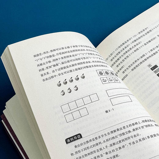 小学数学课例 36个一线典型课例 聚焦18个课堂教学关键问题 黄兴丰  庞雅丽  高丽 编著 商品图7