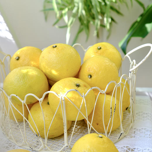 【瑶乡甄选】柠檬蜜橘 遵循自然 树上熟 自带柠檬香 脆甜无酸 口感惊艳 商品图7