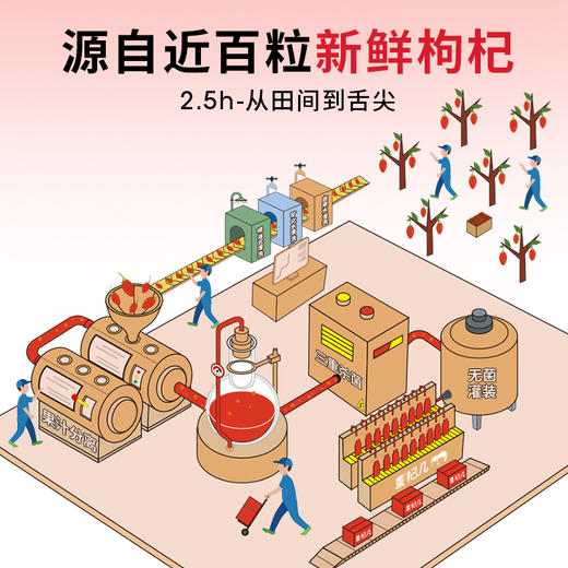 沃福百瑞 星期几 鲜枸杞原浆宁夏枸杞鲜果原浆 商品图4