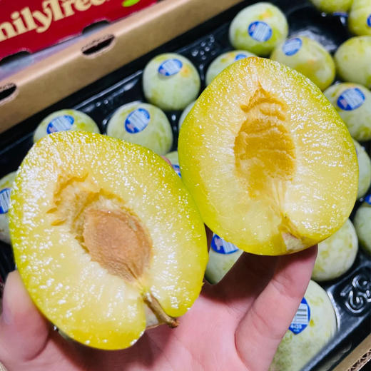 【清新脆甜】进口翡翠李 约500g/份 商品图3