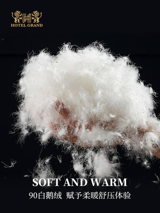 进博专享|五星可水洗鹅绒四季被+南法之梦白鹅绒冬被 商品图6