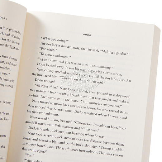 【中商原版】天地杂货店 The Heaven and Earth Grocery Store 英文原版 James McBride 历史小说 纪实文学 商品图3