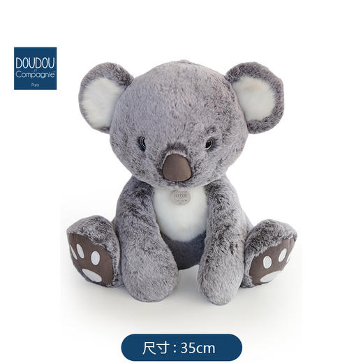 DOUDOU 考拉-35cmDOUCHO2970玩偶 商品图3