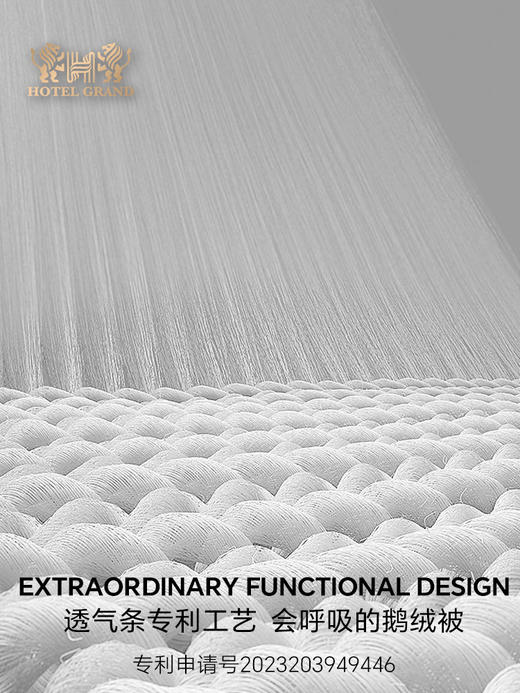 五星可水洗鹅绒四季被 商品图4