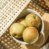 山西隰县玉露香梨 商品缩略图3