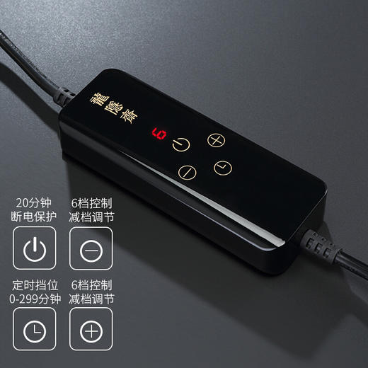 厂家直发/龙隐斋 【金光釉】古铜地竹鸟电陶炉家用功夫茶具烧水煮茶炉小型静音电茶炉泡茶专用茶炉 商品图7