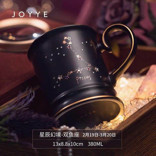 卓艺牌单品星辰幻境杯-双鱼座 商品图0