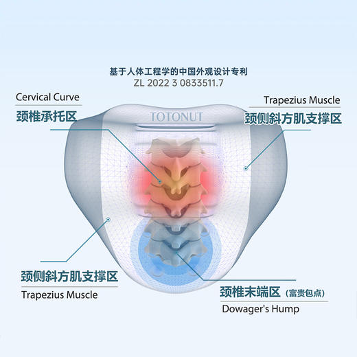 TOTONUT颈椎小熨斗 | 给脖子买个会按摩的「小沙发」，按摩、牵引、艾灸，脖子好舒坦 商品图1