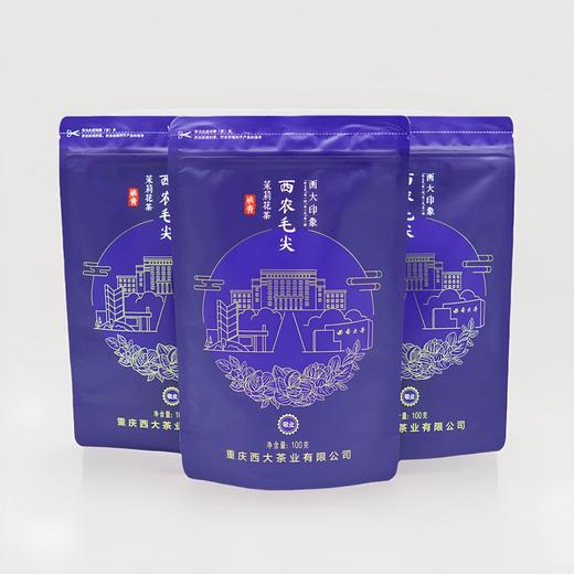 西南大学研制 西大印象 毛尖敬业 茉莉花茶 袋装100克 商品图1