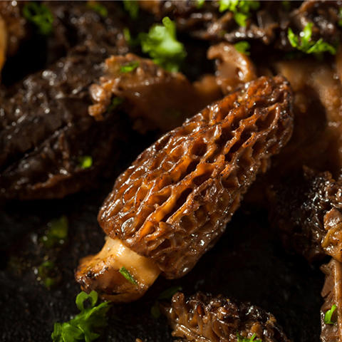 羊肚菌50g 商品图4