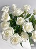 骄傲白玫瑰10支 商品缩略图0
