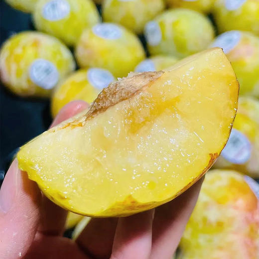 【清新脆甜】进口翡翠李 约500g/份 商品图2