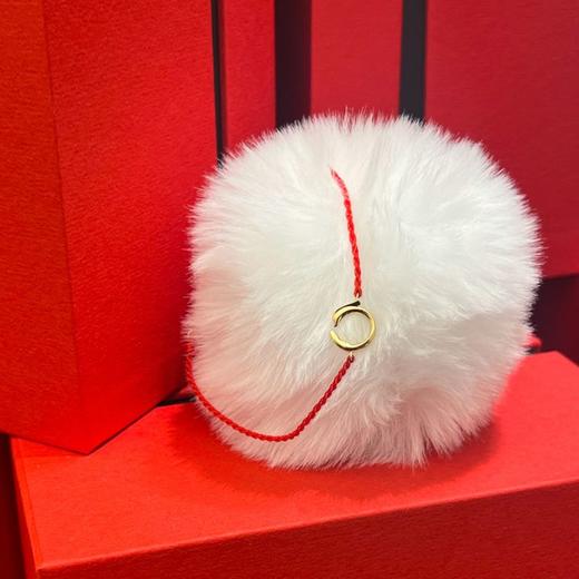 「迎」系列 十二生肖 · 忱龙项链手绳 商品图0