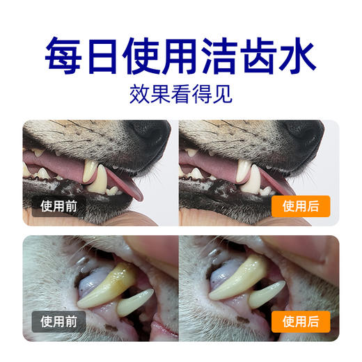 小壳小白牙猫咪洁齿水 清新口气  缓解口臭  天然成分更安全 线下款  5x30包大盒装 商品图2