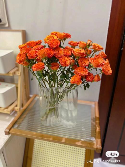 多头橙色芭比 5支一份 商品图1