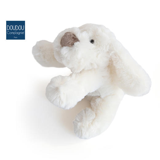 DOUDOU 曲奇狗-25cmDOUCHO2319玩偶 商品图3
